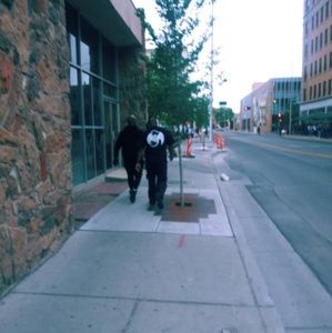 Meet your Posher, Nicholas